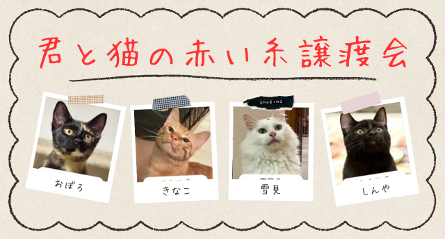 君と猫の赤い糸譲渡会